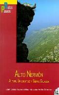 Alto nervion