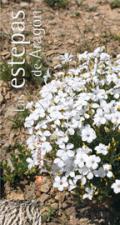 Rutas CAI nº40: Las estepas de Aragón
