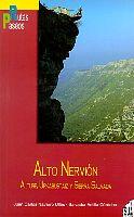 Alto nervion